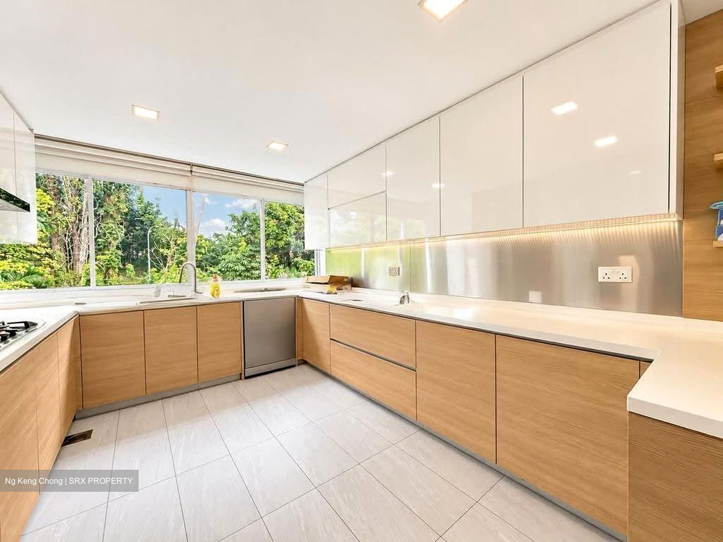 Stevens Road (D10), Condominium #634129801